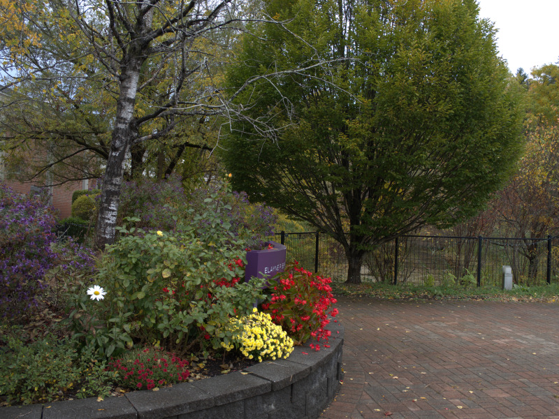 Scaled image PA160114.jpg 