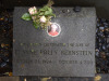 Thumbnail PA160108.jpg 