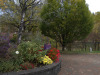 Thumbnail PA160114.jpg 