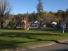 Thumbnail PA180359.jpg 
