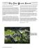 Thumbnail PS2108-03.jpg 